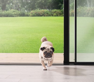 Slider Shoot 49-medium