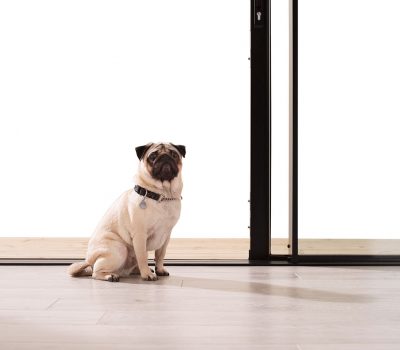 Slider Shoot 50-medium